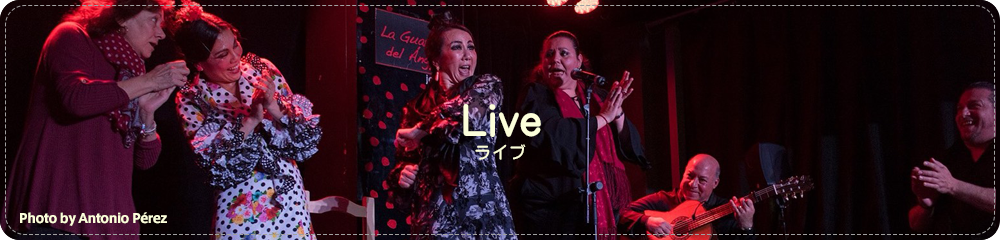 ライブ情報